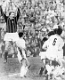Una data leggendaria il 2 ottobre i biancoscudati rifilano quattro gol al Milan L'avventura di Nereo Rocco al Padova si concluse con la stagione 1960-61  (Laura Calore)